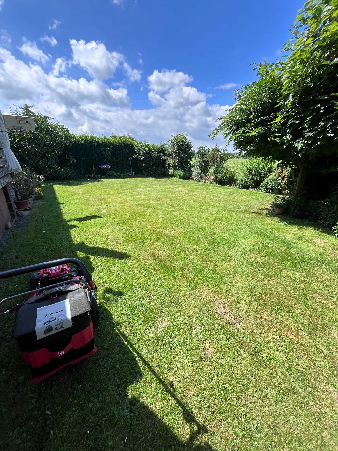 Frisch gemähter Garten nach der Gartenpflege