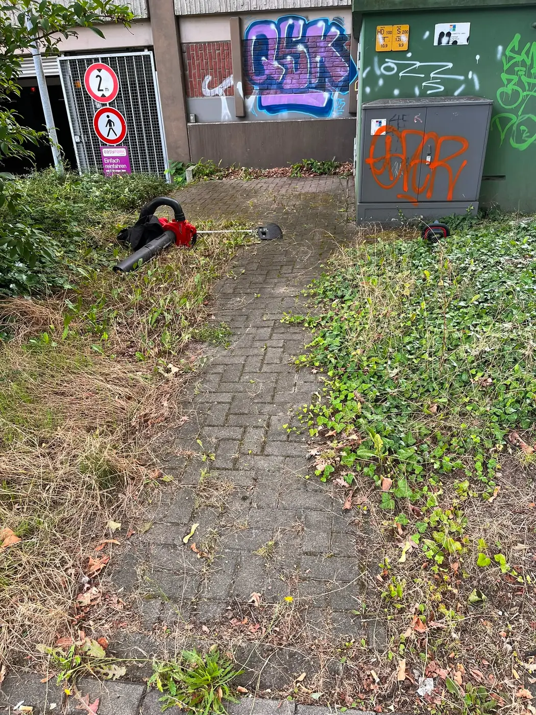 Zugewachsener Weg vor der Objektpflege